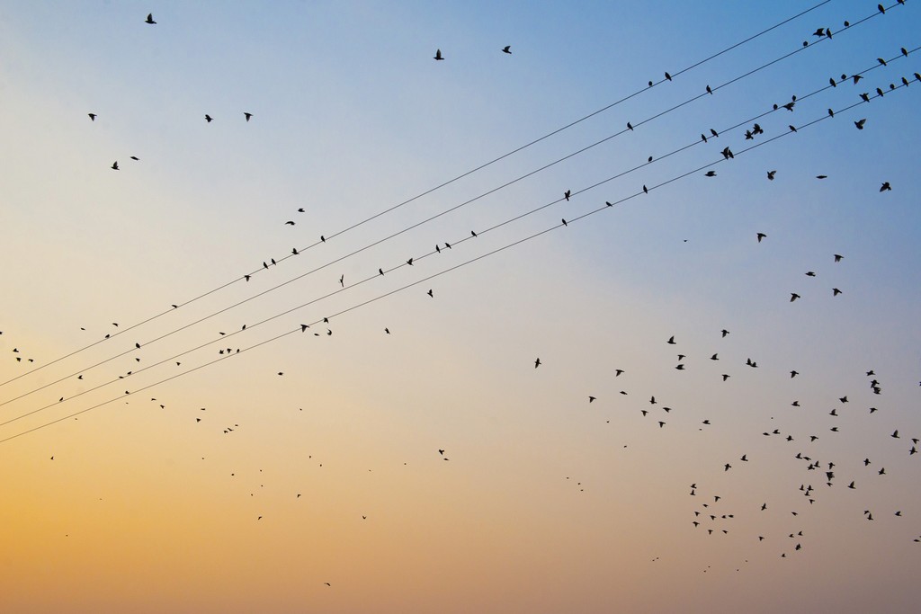 Photography by Jacob Burress — 6
