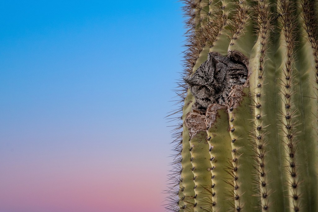 Photography by Jacob Burress — 10