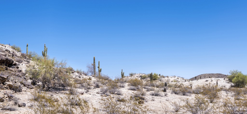 Photography by Jacob Burress — 12